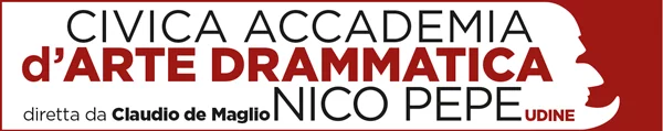 Logo-Nico-Pepe-Cdm-2018-600x120