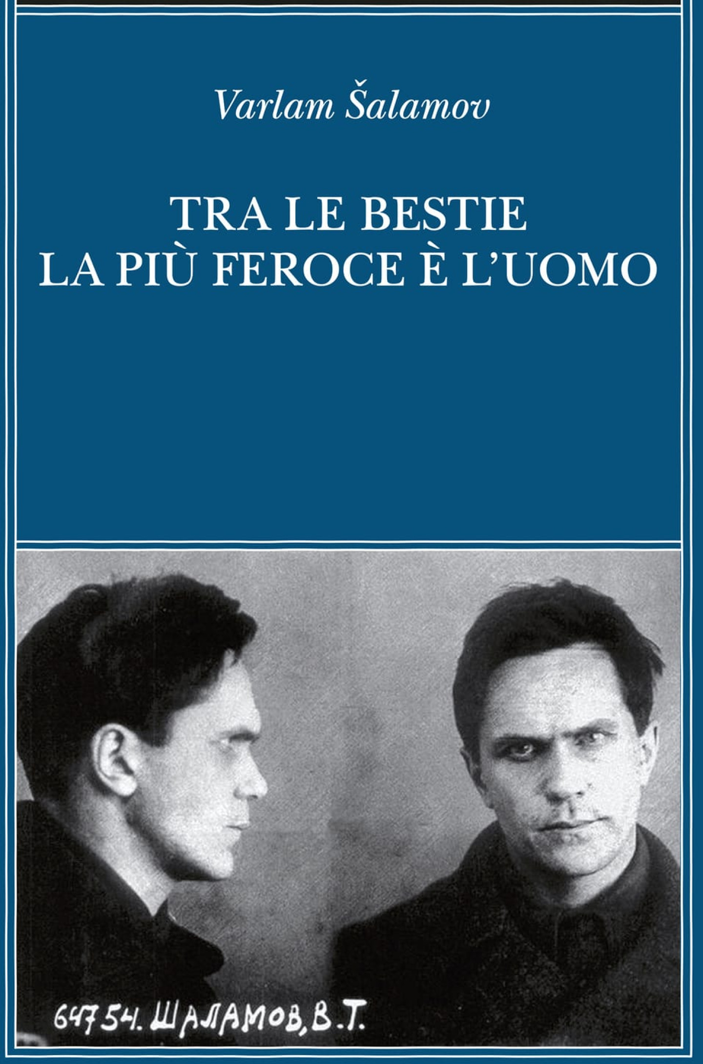 i__id14314_mw1000__1x