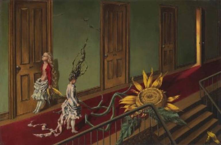 immagini toller2